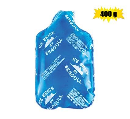 Ice-brick plastic clear medium 400g