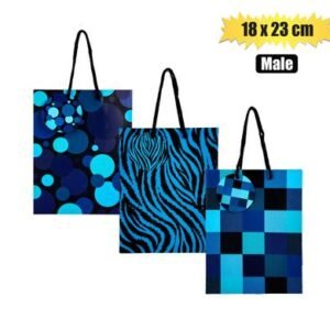 Medium Mans Patterned Gift Bag