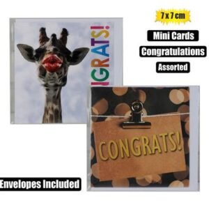 Mini Cards & Envelopes