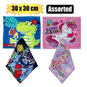 FACE CLOTH KIDS 30x30cm ASSORT