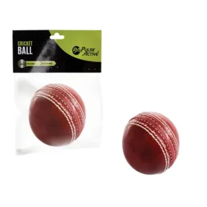 Cricket Ball with Seam
